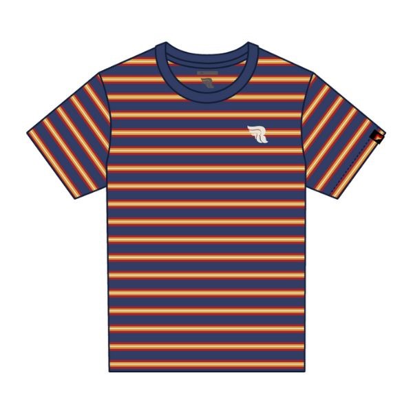 Psycodelic 70's Stripes